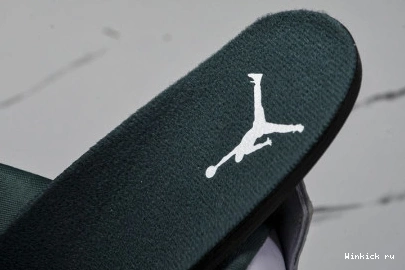 Air “Oxidized Green” 4 Jordan 0822